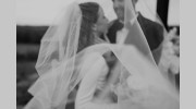 Moth + Moonlite Photography